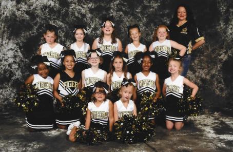Lady Tigers Cheer Squad